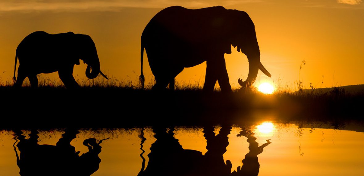 اهمیت زمان‎‌بندی در عکاسی