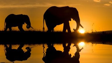 اهمیت زمان‎‌بندی در عکاسی