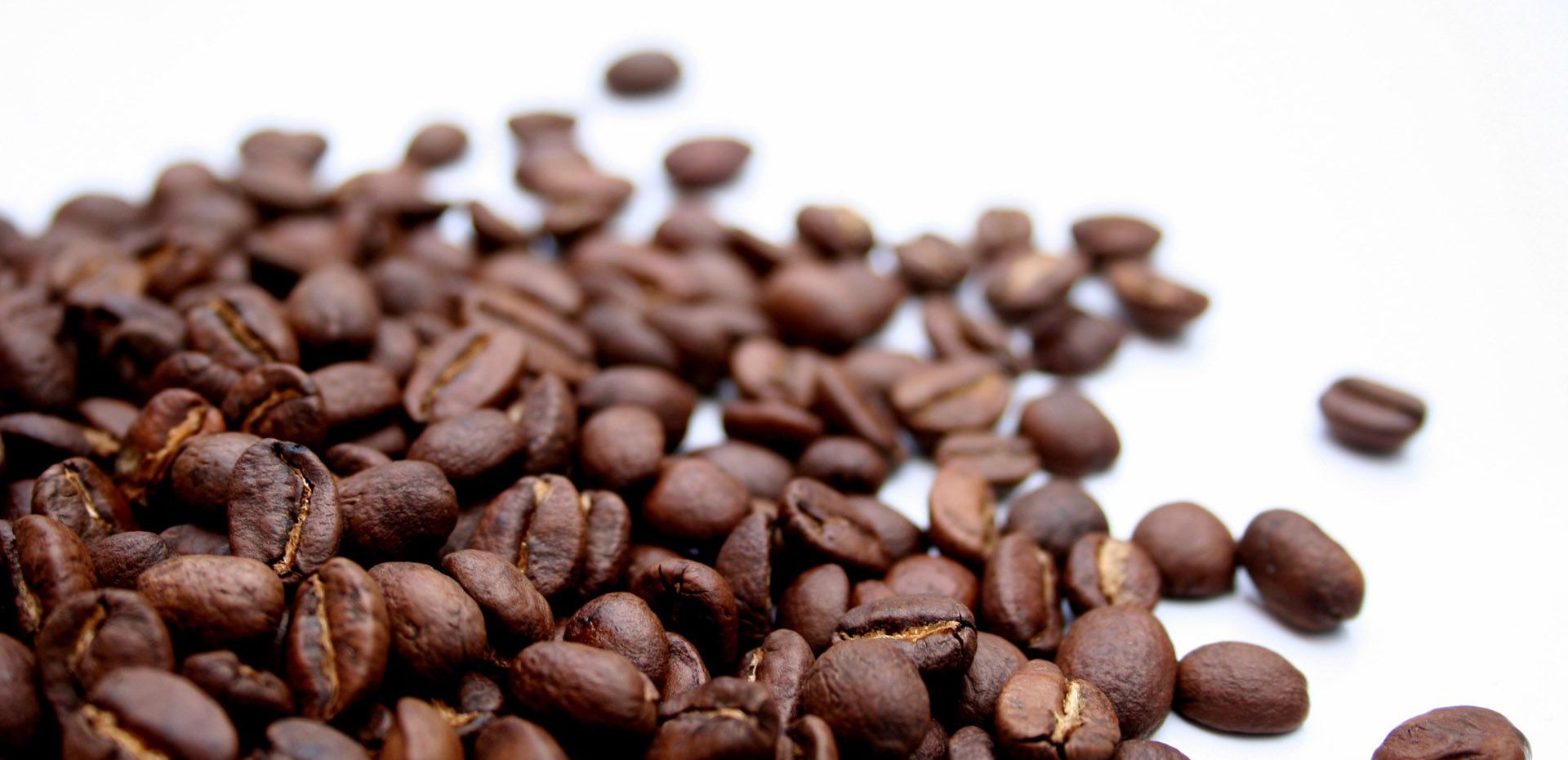 تنوع قهوه های موجود در دنیا