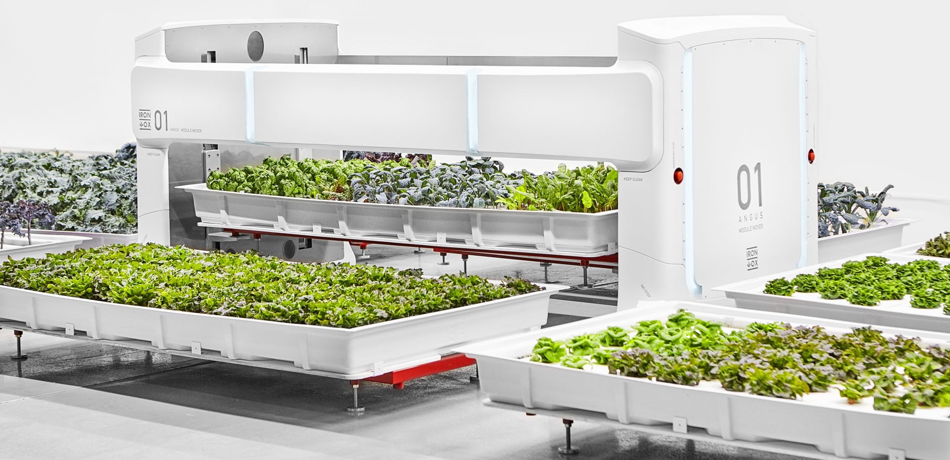 مزرعه هوشمند