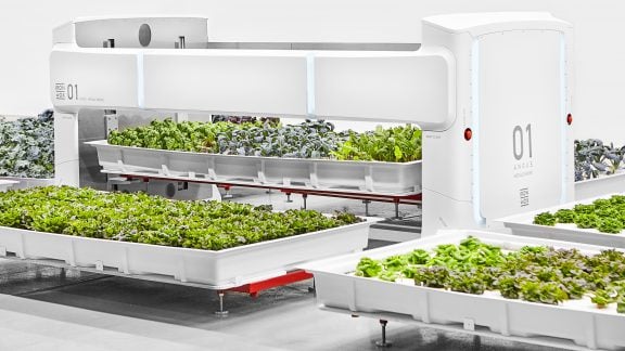 مزرعه هوشمند