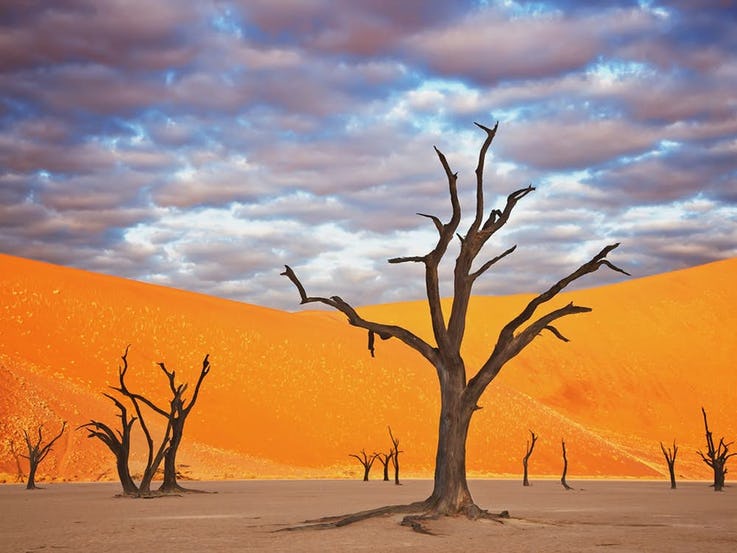 Namib Naukluft نامیبیا