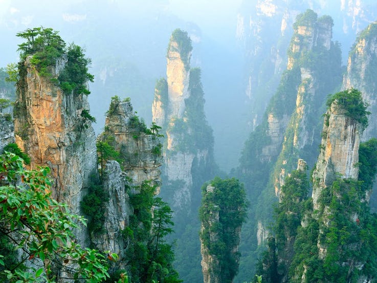 جنگل Wulingyuan در چین