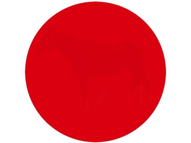 دایره قرمز