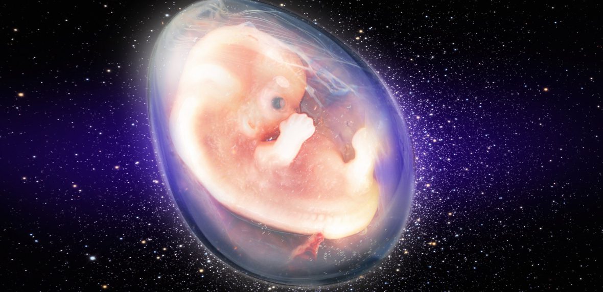 پروژه‌ی زایمان در فضا