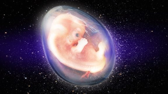 پروژه‌ی زایمان در فضا