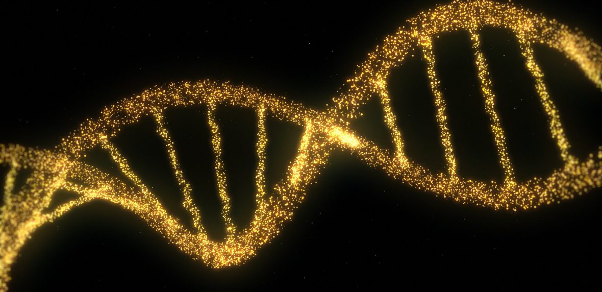 رژیم غذایی و درمان بیماری ام اس