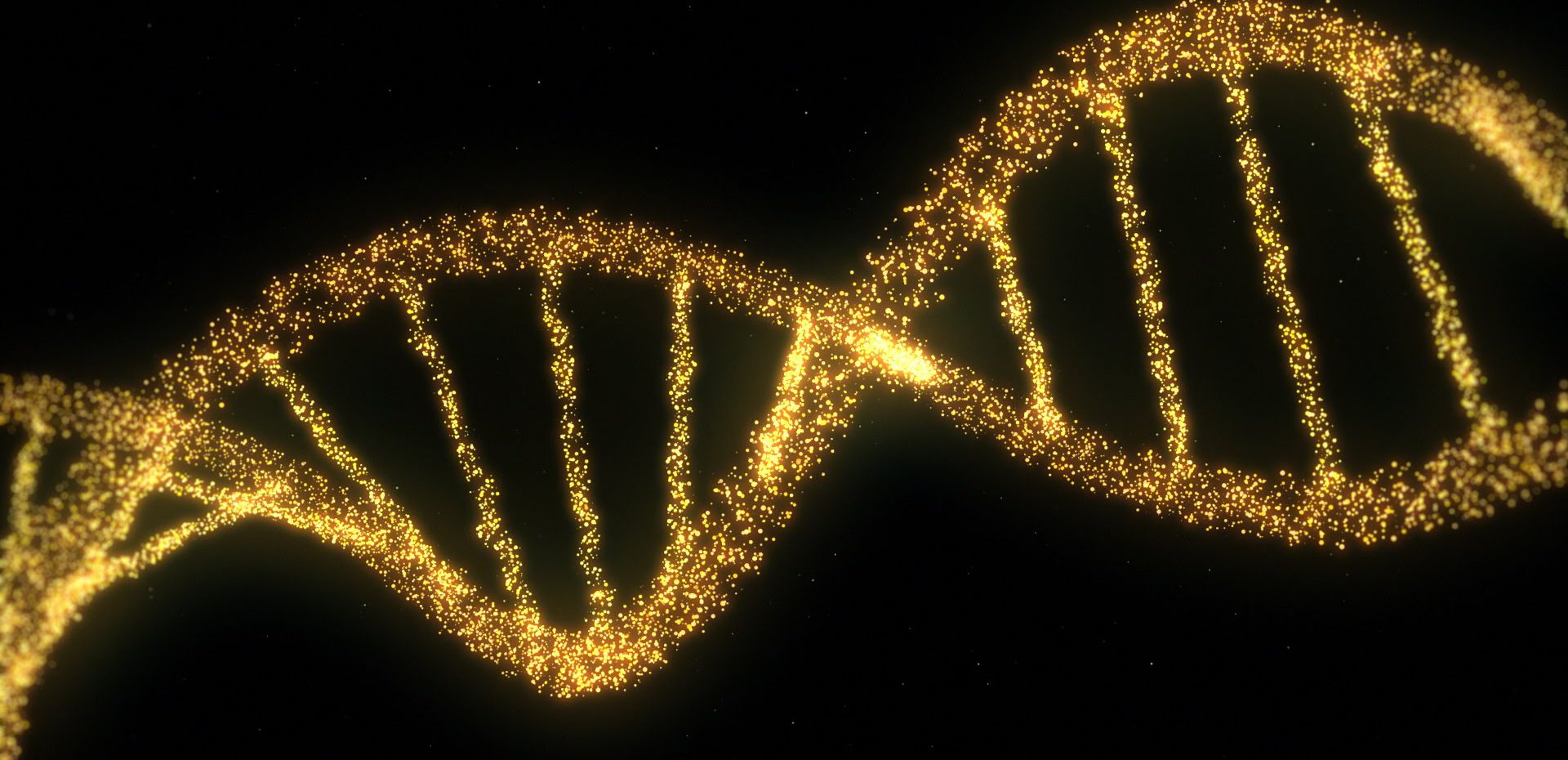 رژیم غذایی و درمان بیماری ام اس