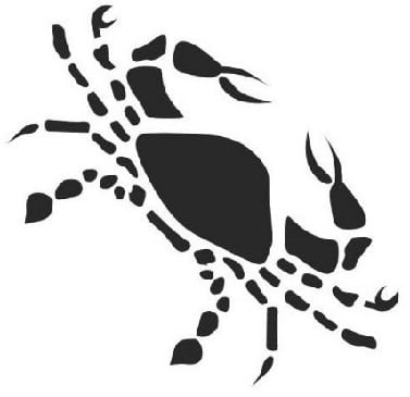 تیر