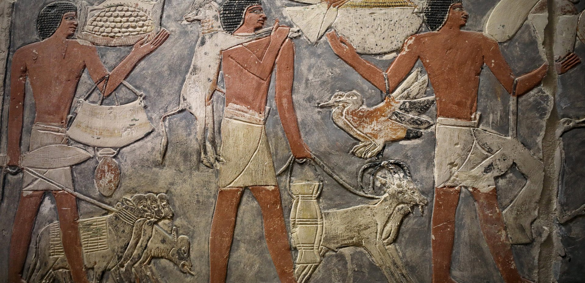 کشف یک مقبره