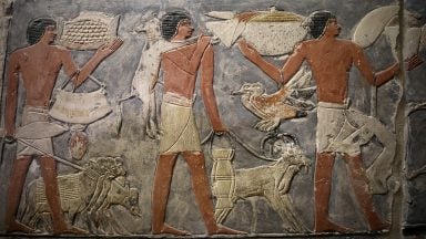 کشف یک مقبره