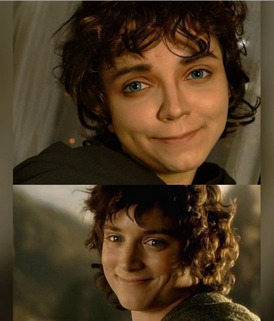 فرودو در فیلم The Lord of the Rings