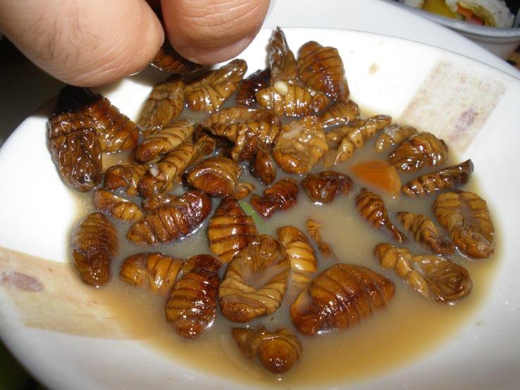 غذاهای عجیب