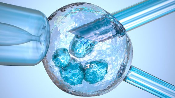 سلول‌های بنیادی