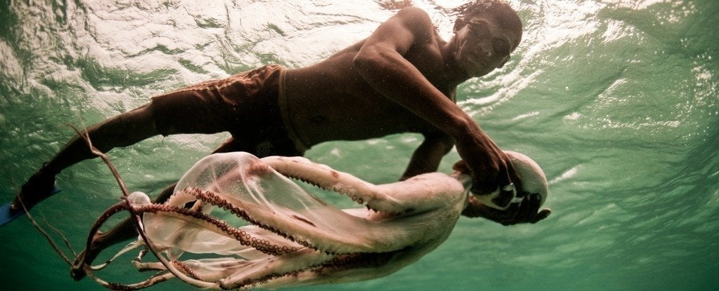 مردمان باجائو