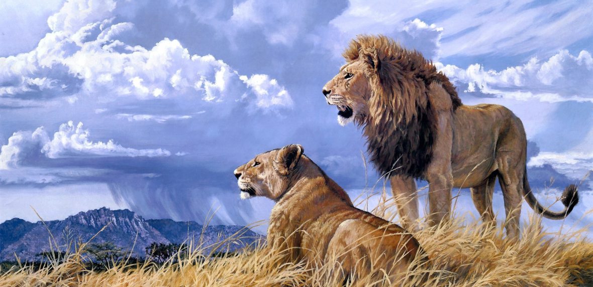 عاشقانه‌ترین حیوانات جهان