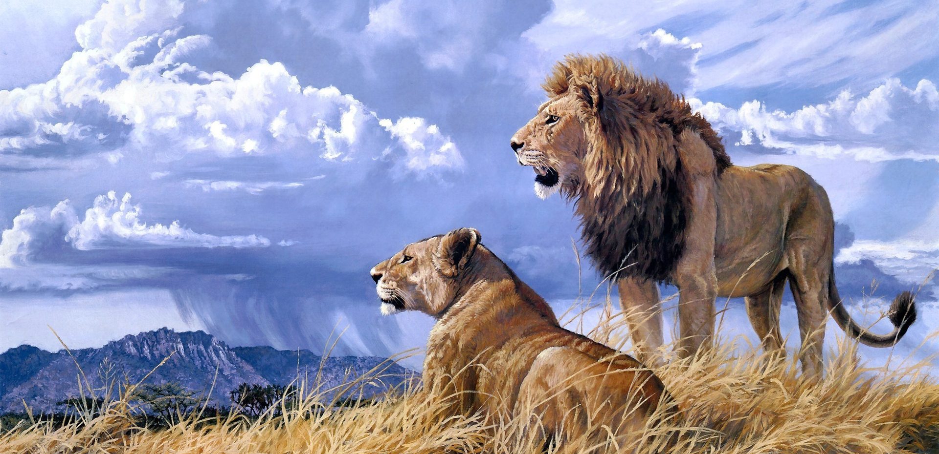 عاشقانهترین حیوانات جهان