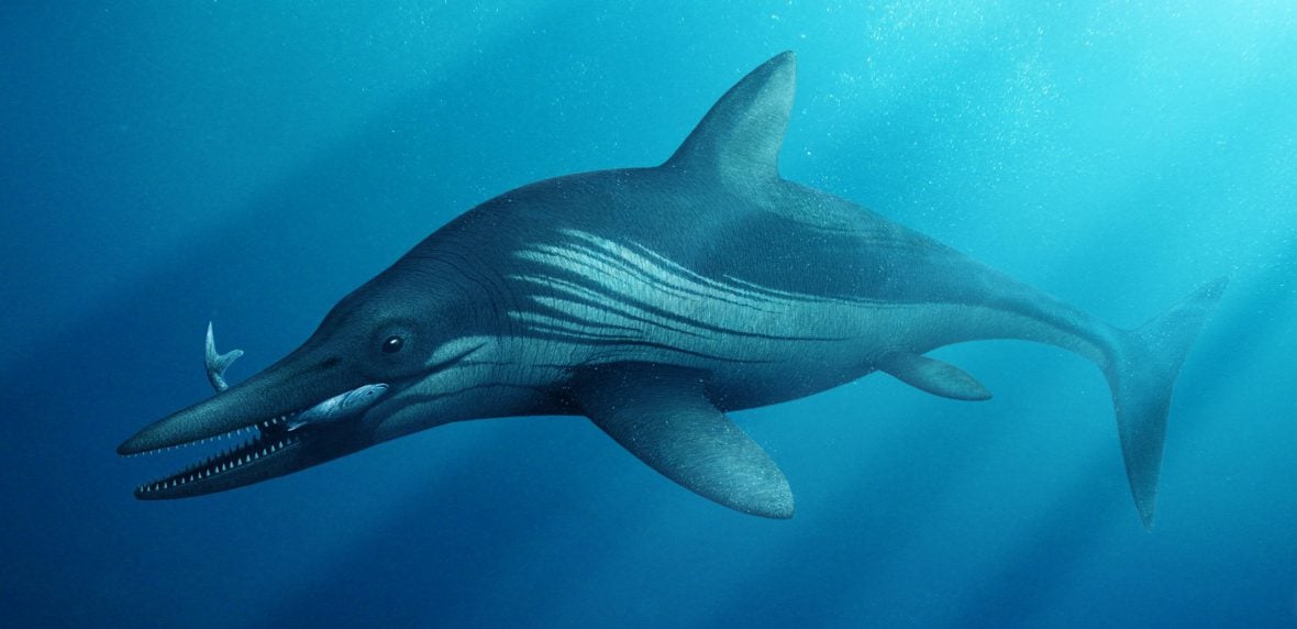 هیولای دریایی