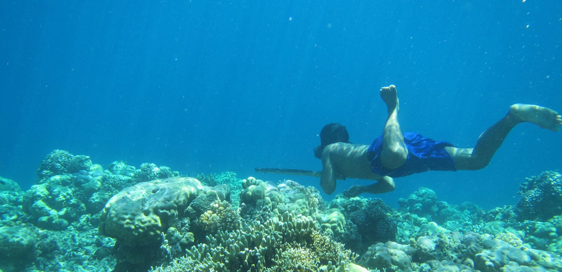 مردمان باجائو