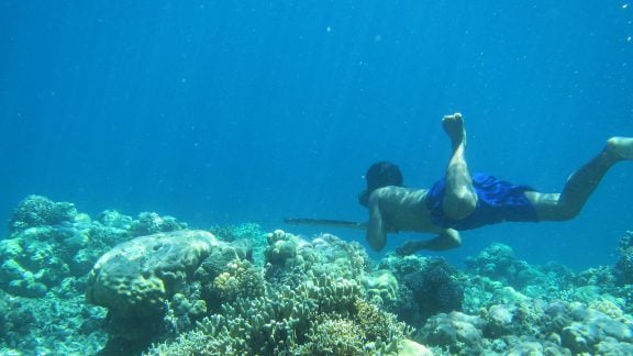 مردمان باجائو