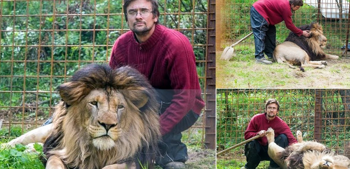 نگهداری شیر