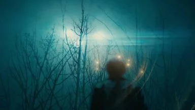 یوفو و فارگو