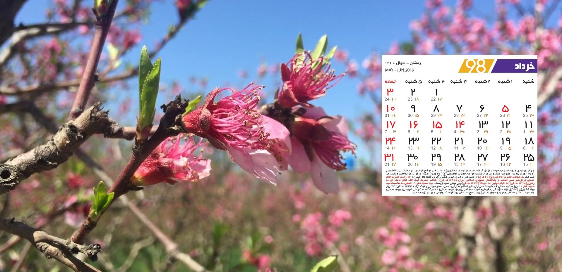 فال متولدین خرداد