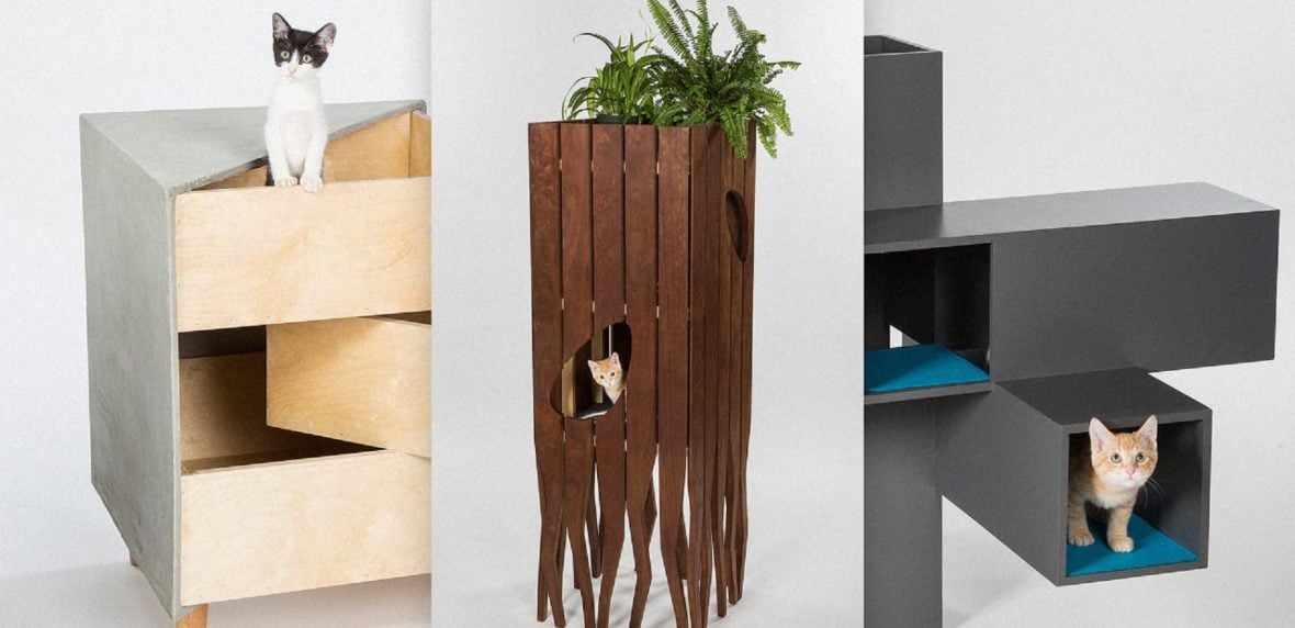 خانه معمارانه گربه ها