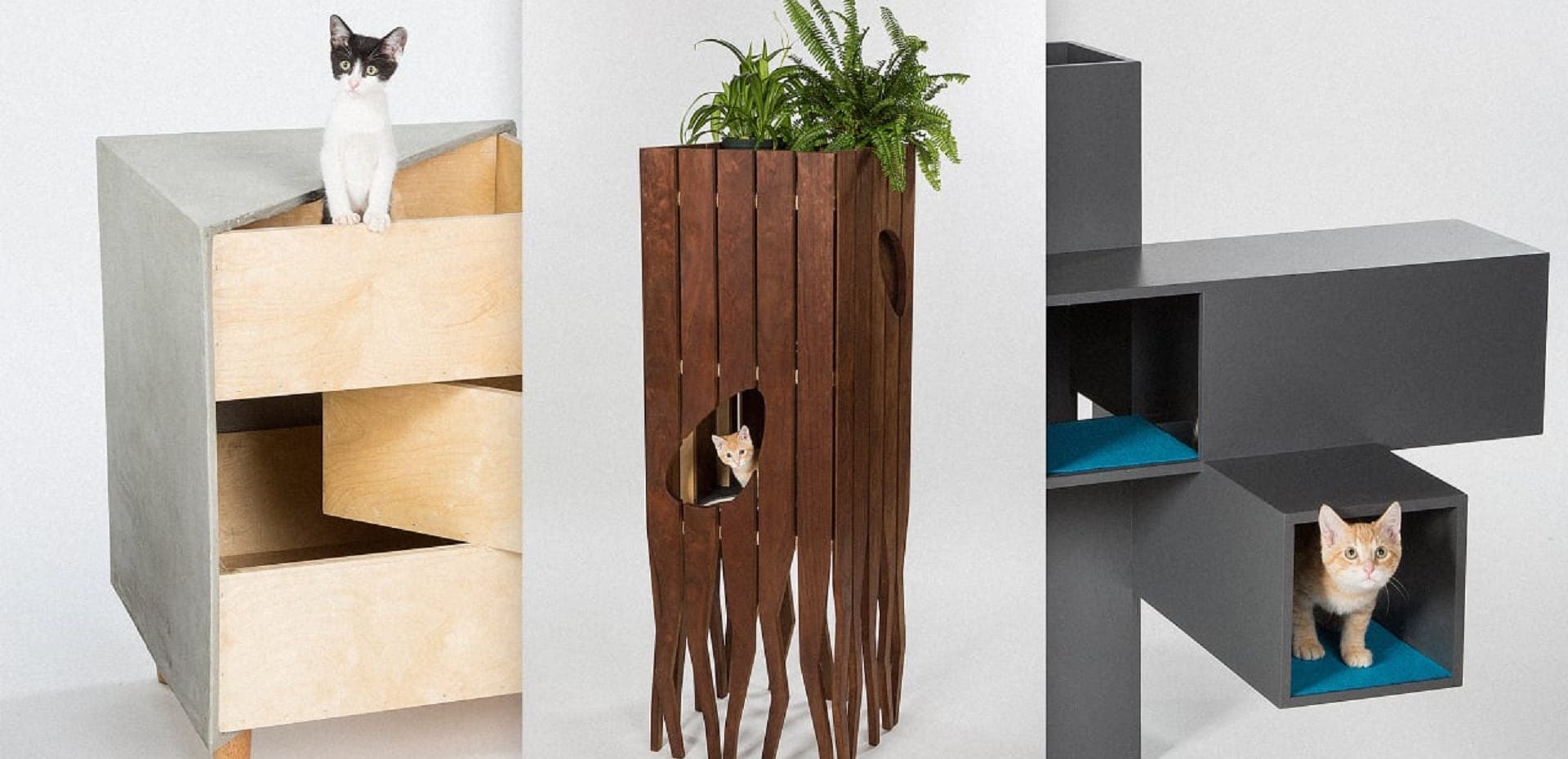 خانه معمارانه گربه ها