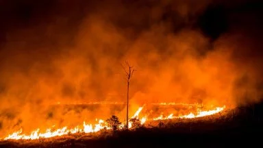 آتش سوزی‌های آمازون