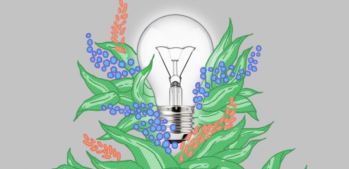 حذف دی‌اکسید کربن هوا