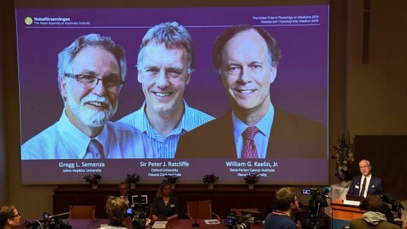 نوبل پزشکی 2019