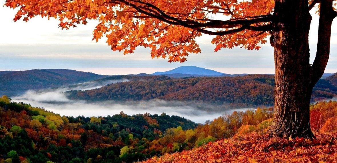 فال ماه تولد آبان