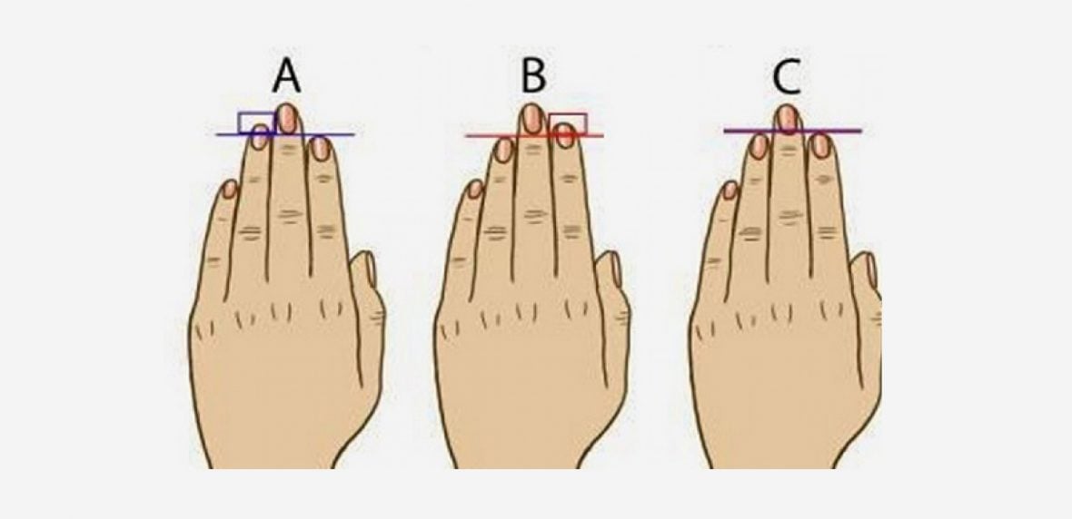 شخصیت‌شناسی