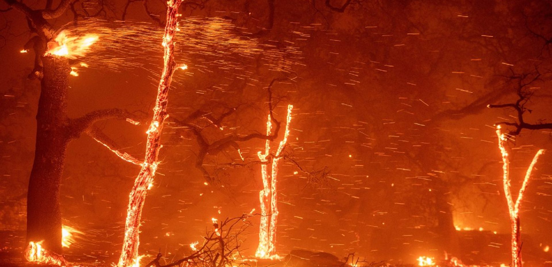 احتمال آتش‌سوزی و خاموشی کالیفرنیا