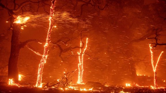 احتمال آتش‌سوزی و خاموشی کالیفرنیا