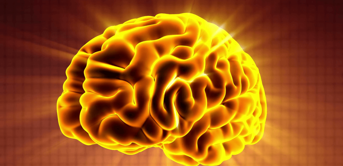 پرنده پنهان