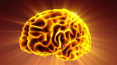 پرنده پنهان