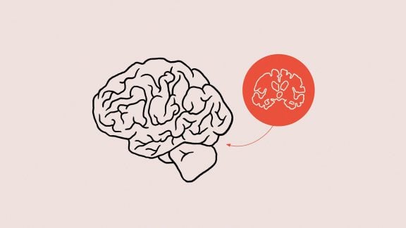 ارتباط کوچک شدن مغز و تنهایی