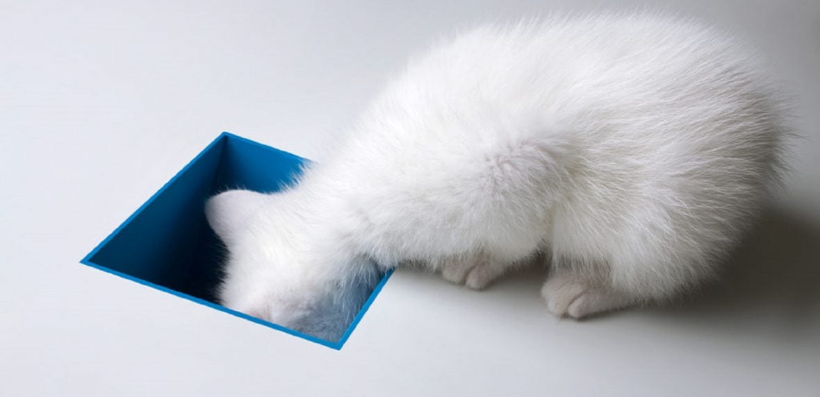 شغل مناسب اختلال حواس‌پرتی