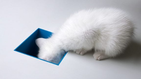 شغل مناسب اختلال حواس‌پرتی