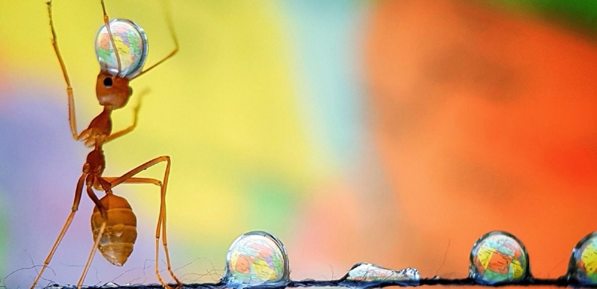 برگزیده عکاسی سال 2019