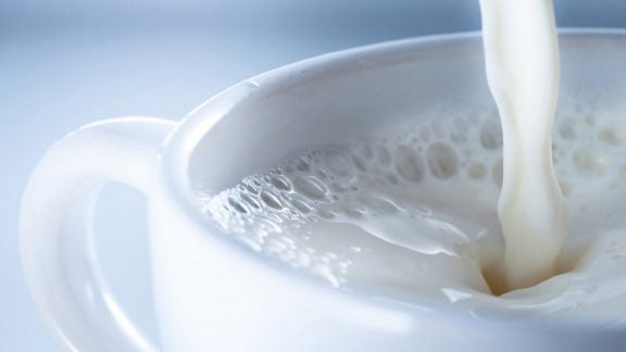 تاثیر شیر بر استخوان