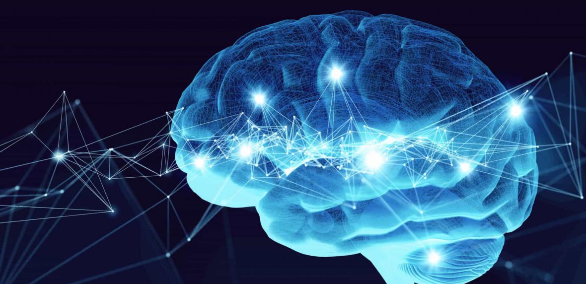 خانواده خرس‌های قطبی