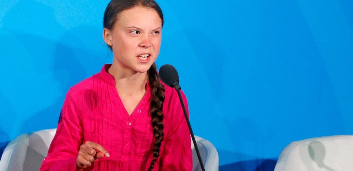 جنگجوی محیط زیست