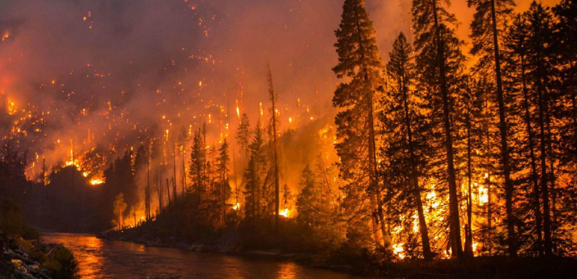 گرم‌ترین سال‌های تاریخ