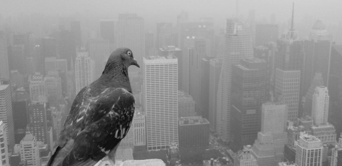 حذف انسان از طبیعت