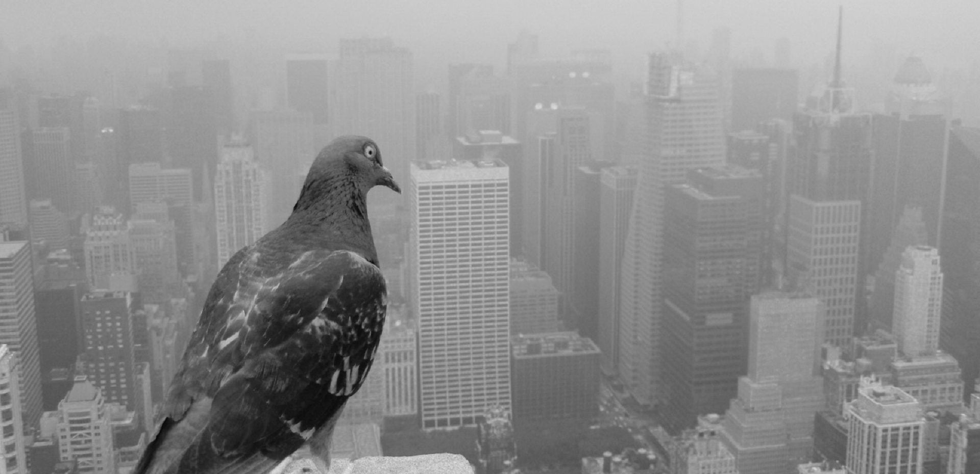 حذف انسان از طبیعت