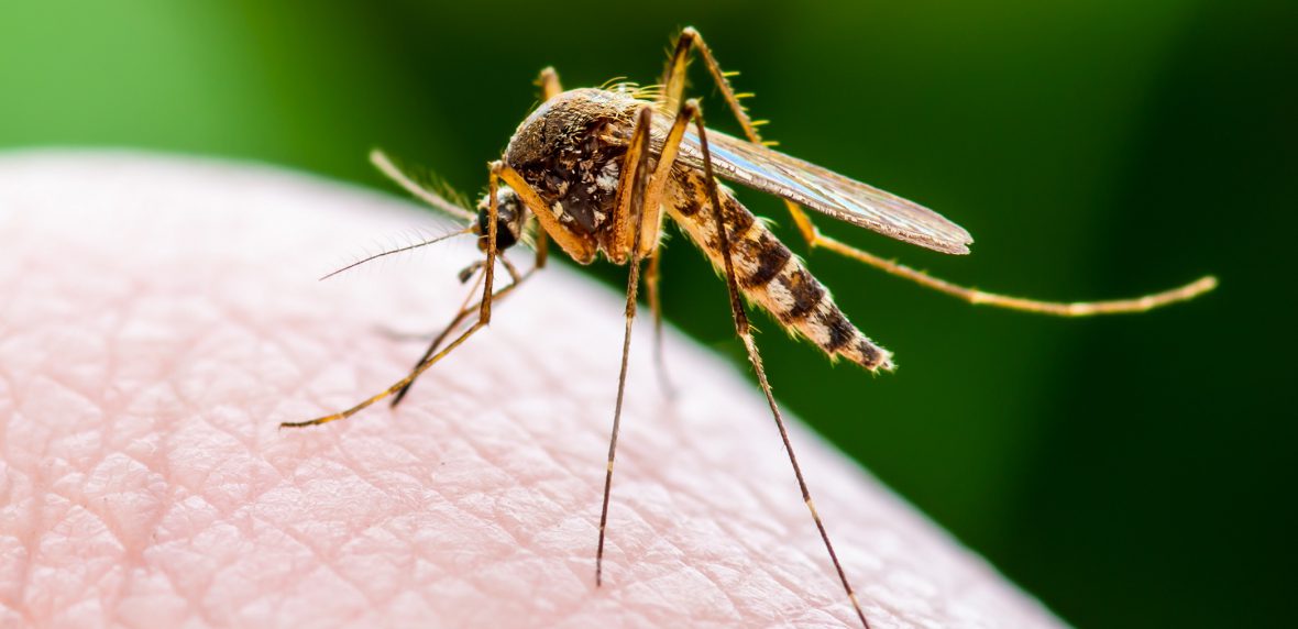 انتقال ویروس کرونا