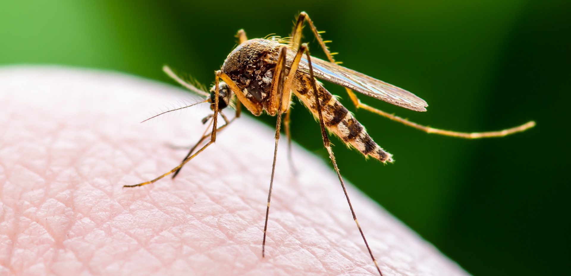 انتقال ویروس کرونا